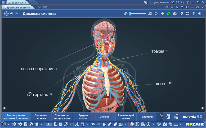 Пакунок mozaBook Classroom Plus (2 роки доступу) 35+ мов mozabook-classroom-pack-2y-ml фото